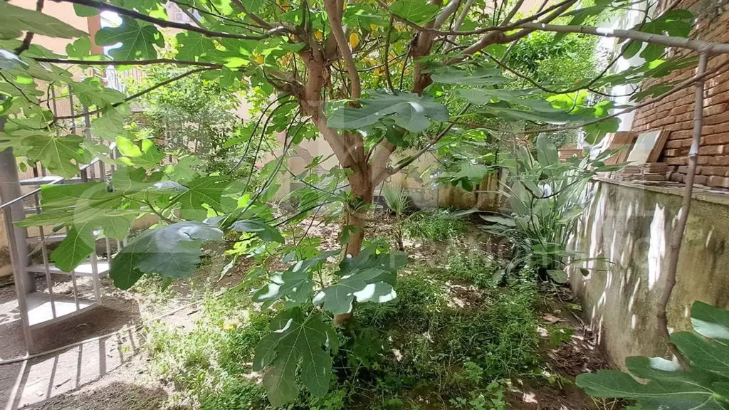 Aed - Apartment with Garden in Catania Centre