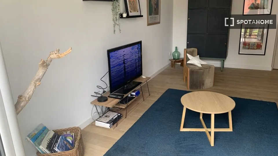 Séjour - Chambre à Louer dans Appartement 3 Pièces à Paris