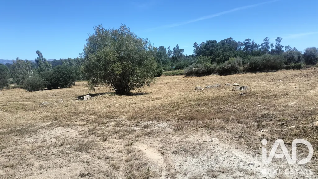 Rural Land with Expansion Potential in Tondela