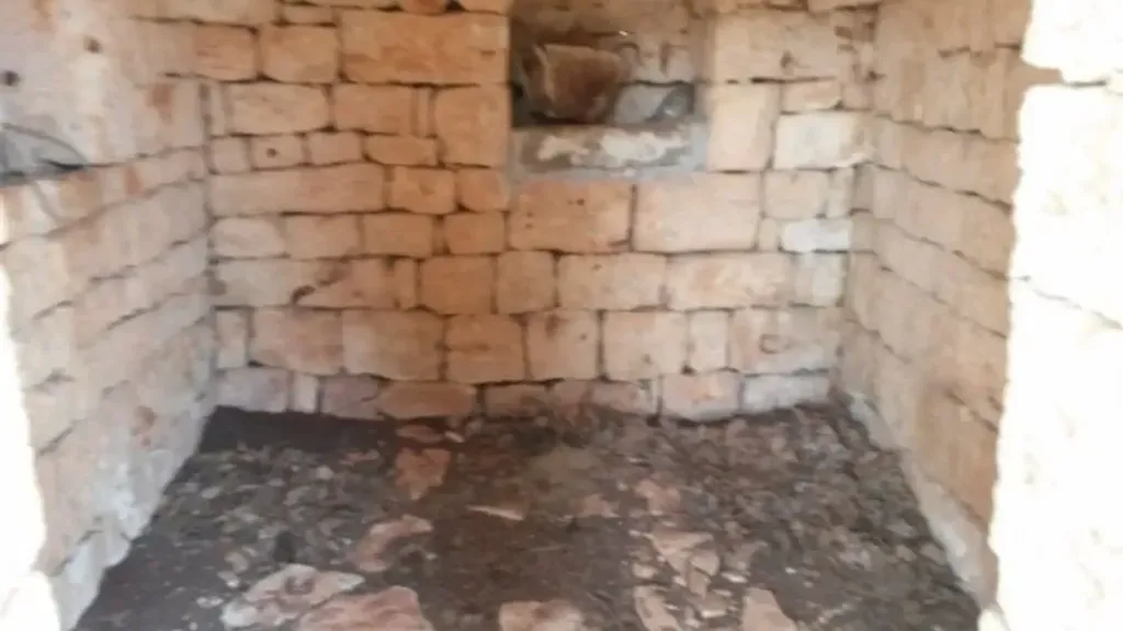 Toad - Traditional Trullo with Olive Grove in Ostuni