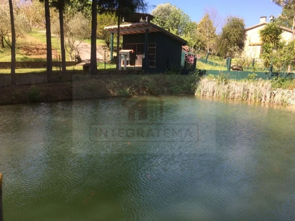 Aed - Luxury Farmhouse with Pool near Santarém