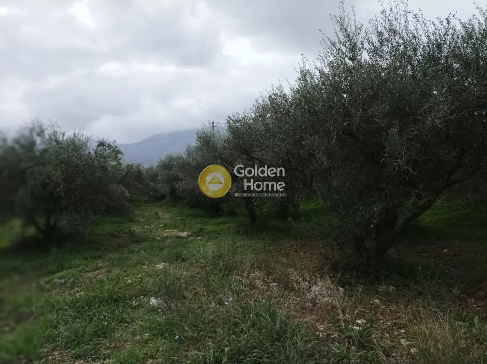Aed - Buildable Plot with Sea View in Aprovouna, Chania