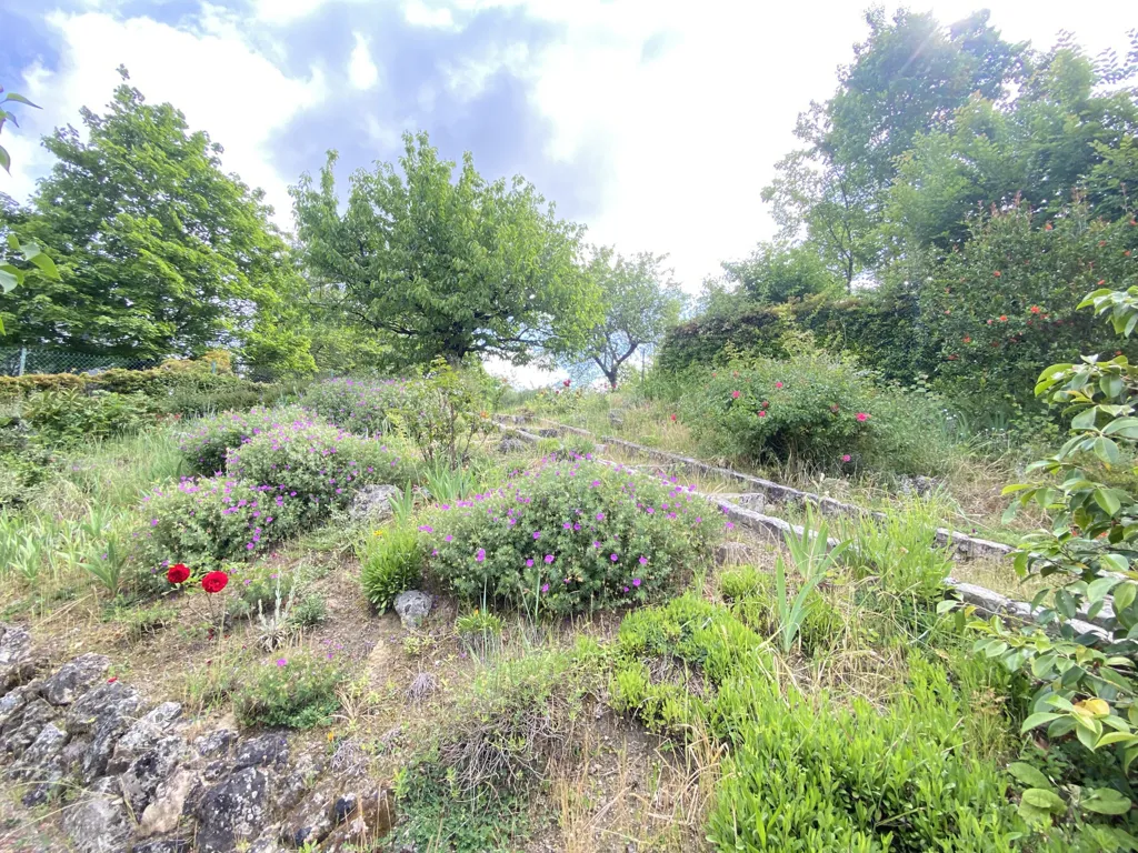 Aed - House with Garden and Basement in Saumur