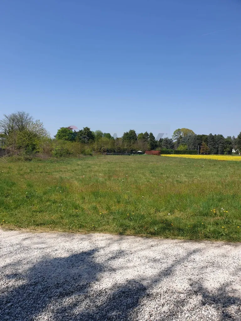 Aed - Agricultural Land with Solar Exposure in Castellanza