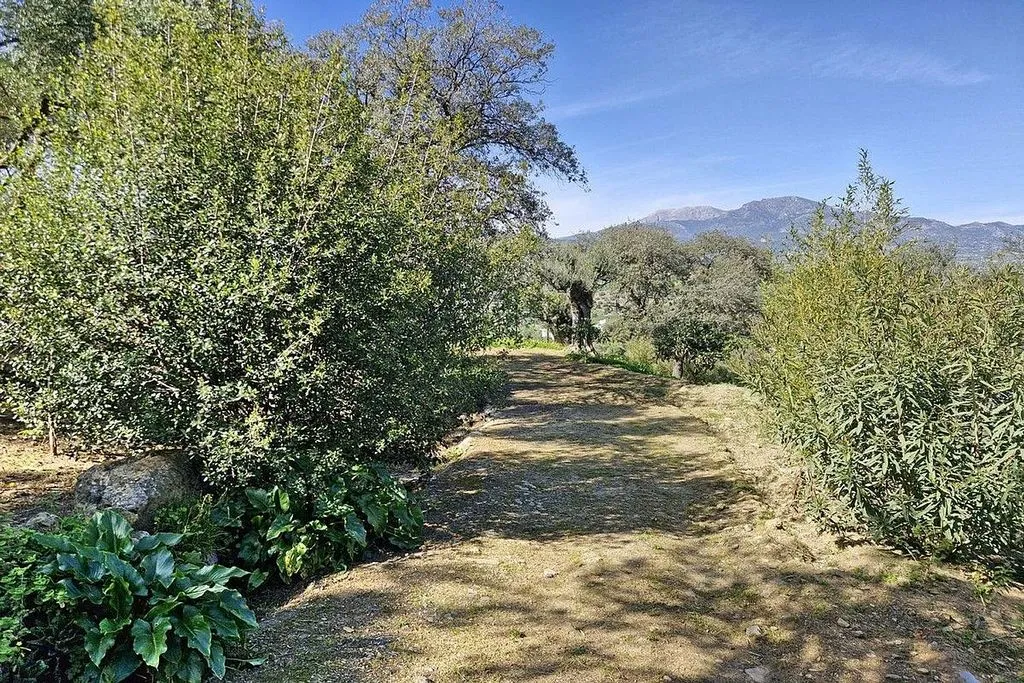 Garden - Rustic Cottage with Pool in Coín