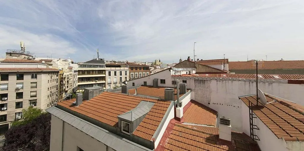 Terrasse - Furnished Flat with Terrace in Tirso de Molina Square