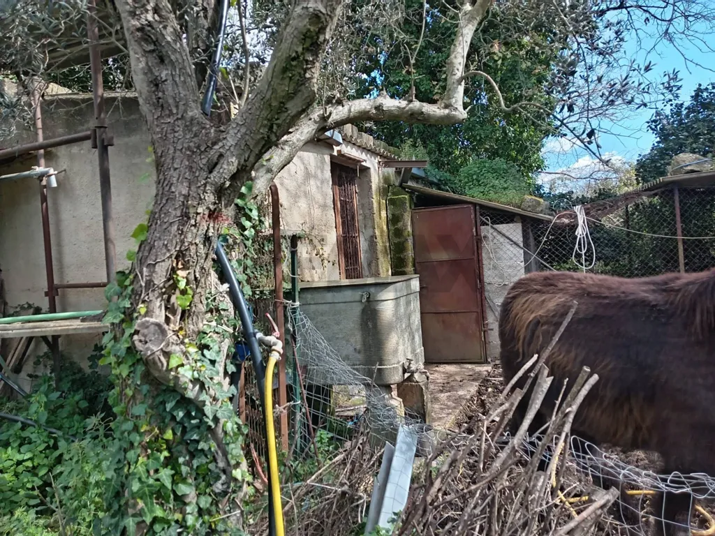 Exterior - Agricultural Land with Existing Structures in Palazzolo Acreide