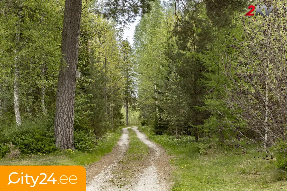 Countryside Estate with Accommodation in Padise
