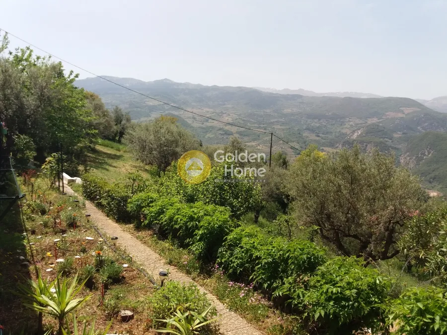 Aed - Buildable Plot with Olive Trees in Agia Varvara