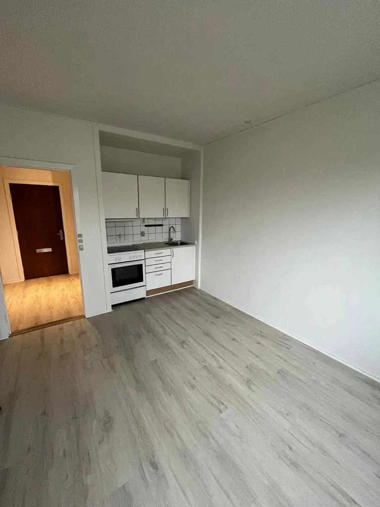 Cuisine - 1-Bedroom Flat with Natural Light in Doktorvænget