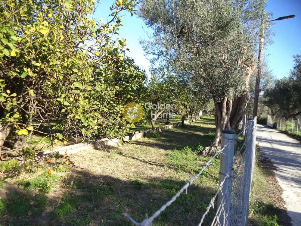 Aed - Plot with Mountain View in Aegio Centre