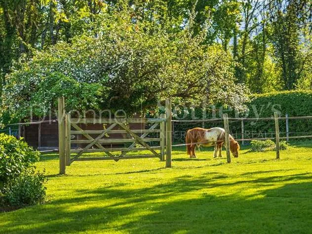 Garden - Luxury House with Mont Blanc View near Geneva