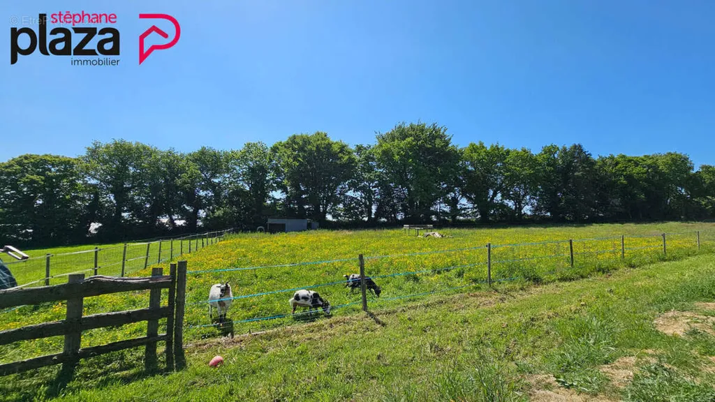 Jardin - Maison de campagne avec grand terrain à Plogonnec