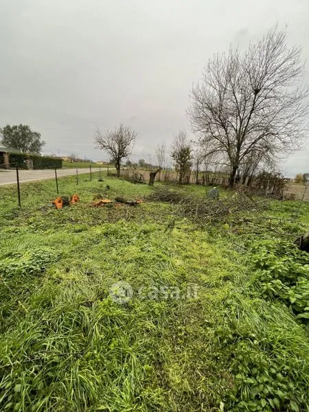 Jardin - Rustic Cottage with Garden in Suzzara Centre