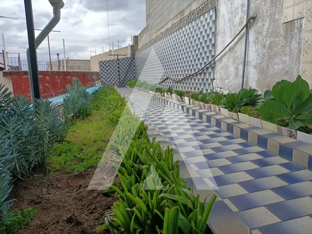 Jardin - T3 House with Garden in Penafiel