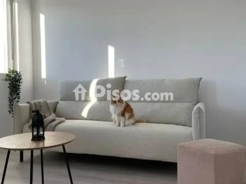 Living Room - Reformed Apartment with River View in City Centre