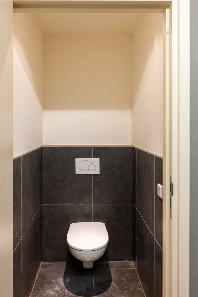 Bagni - Rietgedekt Landhuis with Pool in Hierden