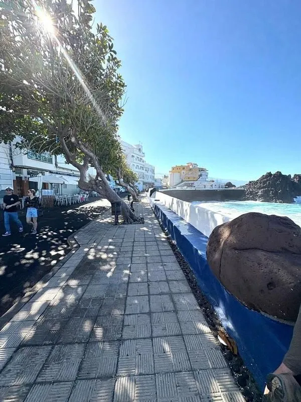 Seafront Apartment with Terrace in El Pris