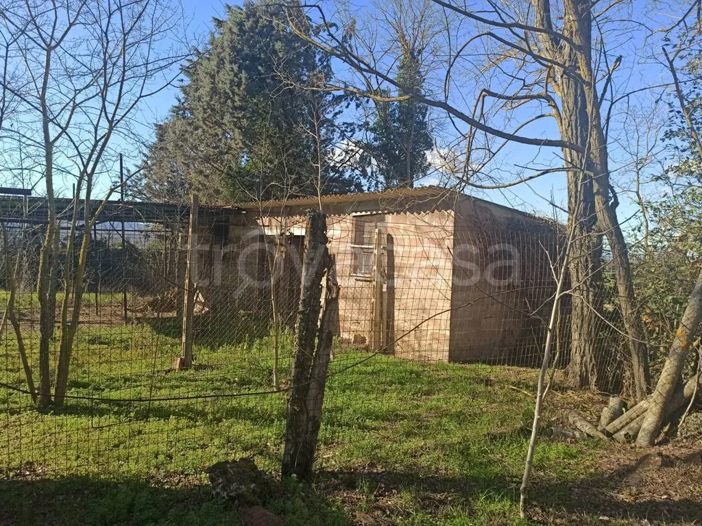 Esterno - Rustic Casale with Panoramic Views near Castiglione del Lago