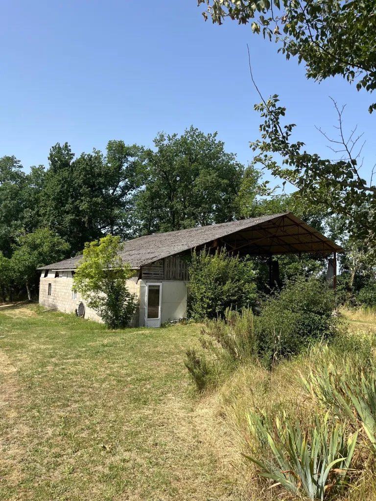 Esterno - Charming House with Orchard in Beaumont-Du-Perigord
