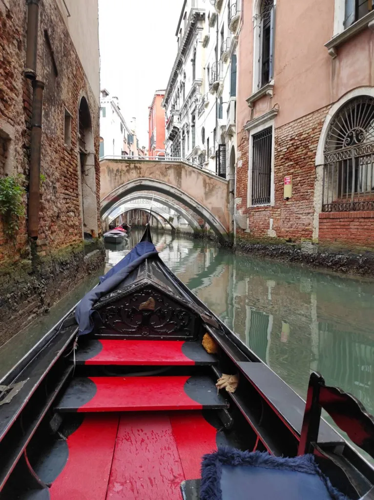 Entrée - Historic Suite with Altana in Venice Centre