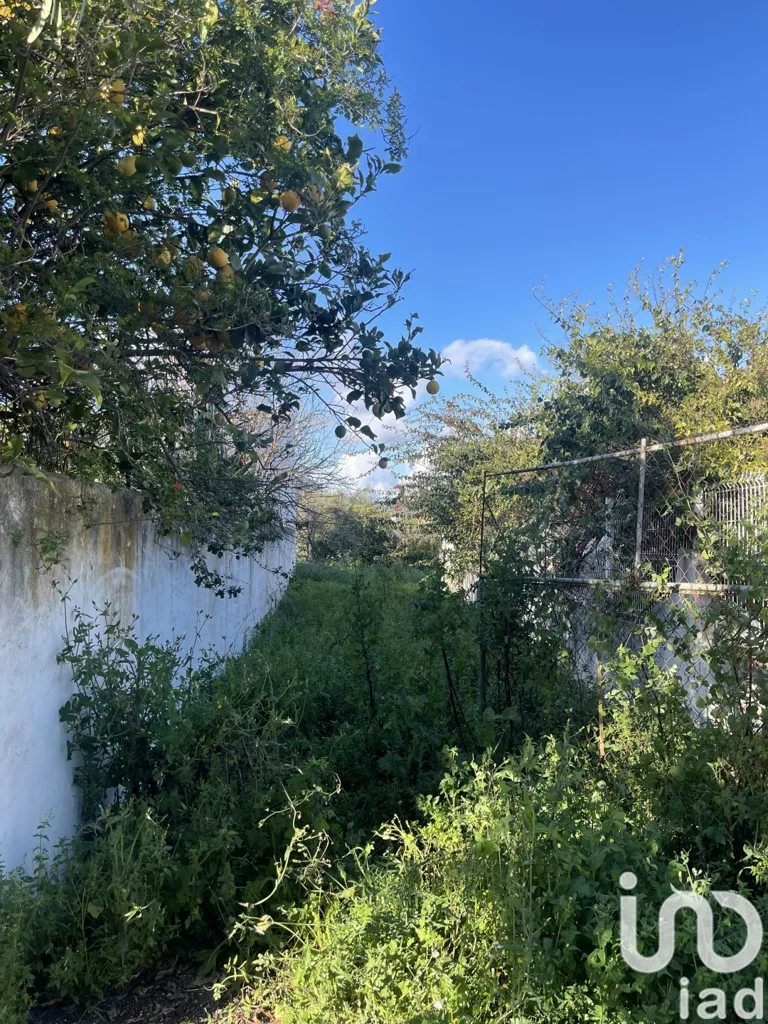 Jardin - Approved Project Land with Panoramic View in Boliqueime