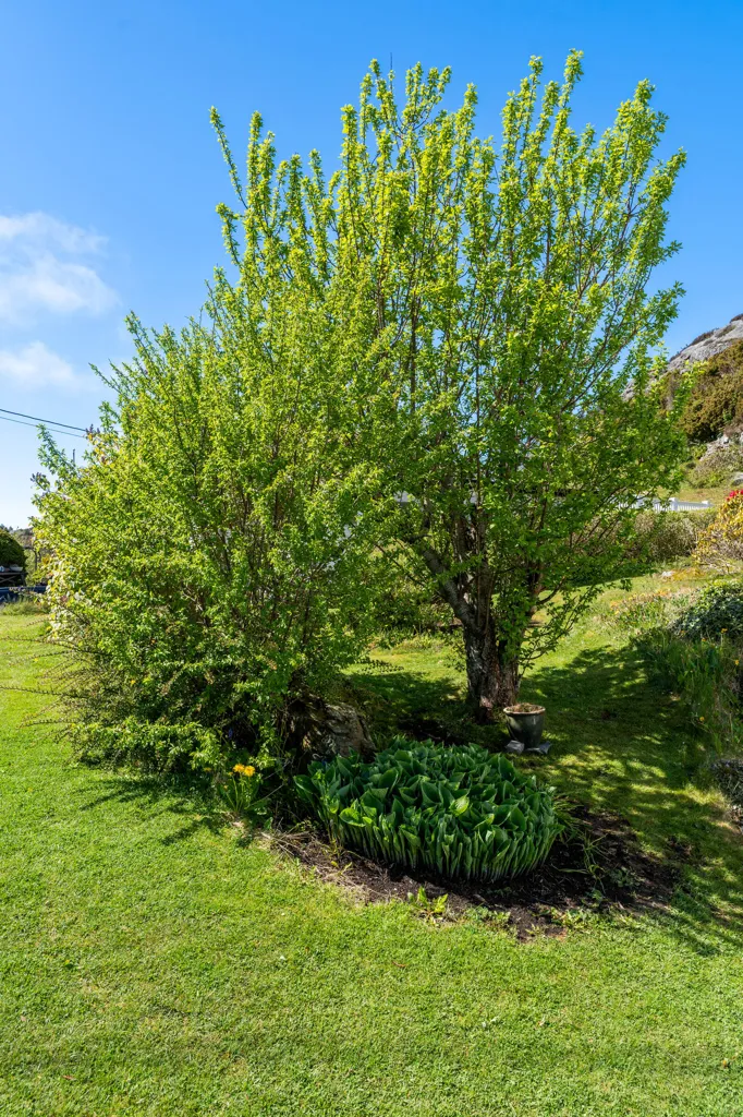 Giardino - Quiet Villa with Garden in Langevåg
