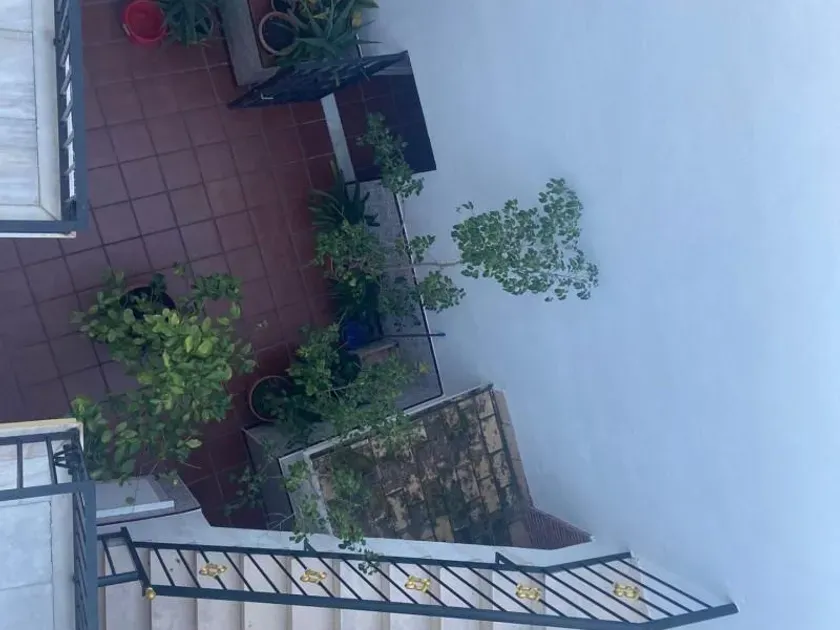 Garden - Chalet with Apartments in Centro Histórico, Jerez