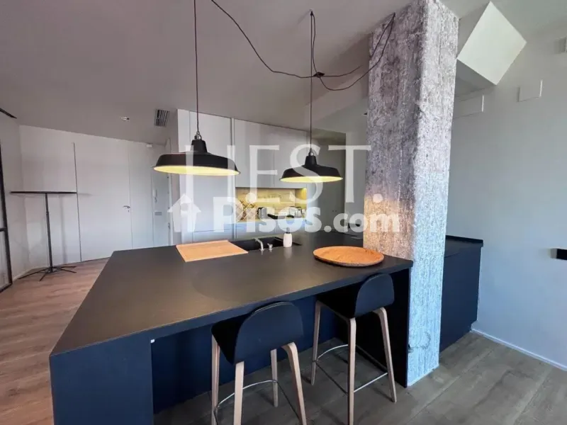 Cuisine - Contemporary Flat with Modernist Finca in Diagonal