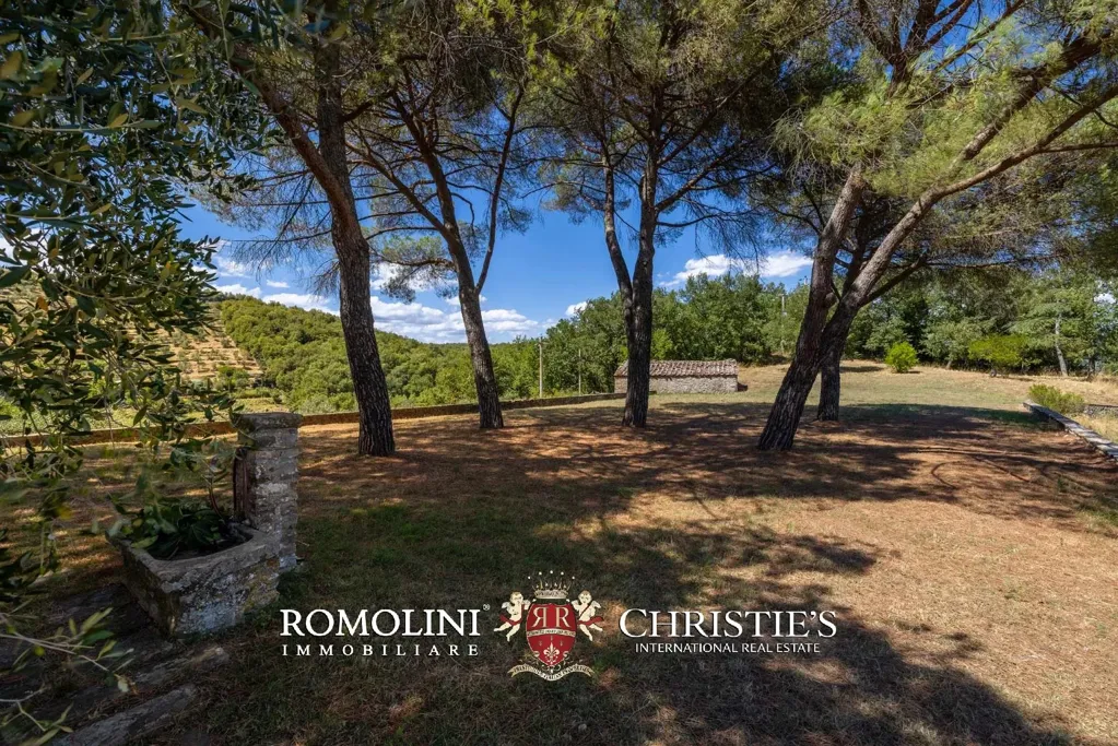 Aed - Rustic Farmhouse with Panoramic Views in Chianti
