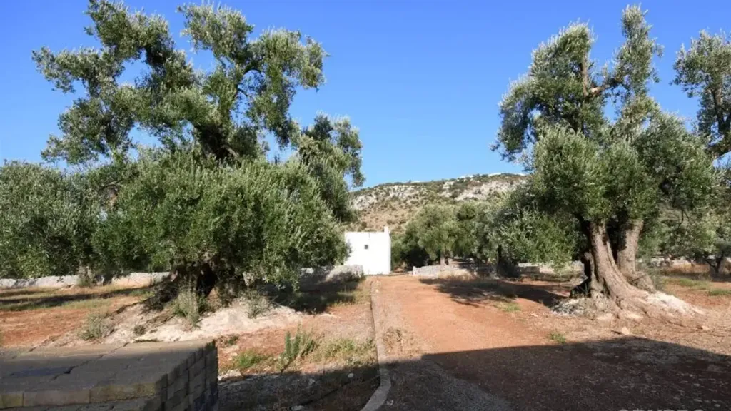 Jardin - Rustic Casali with Olive Grove in Ostuni
