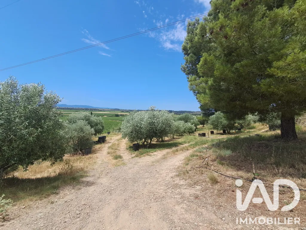 Jardin - Terrain Agricole avec Verger à Azille
