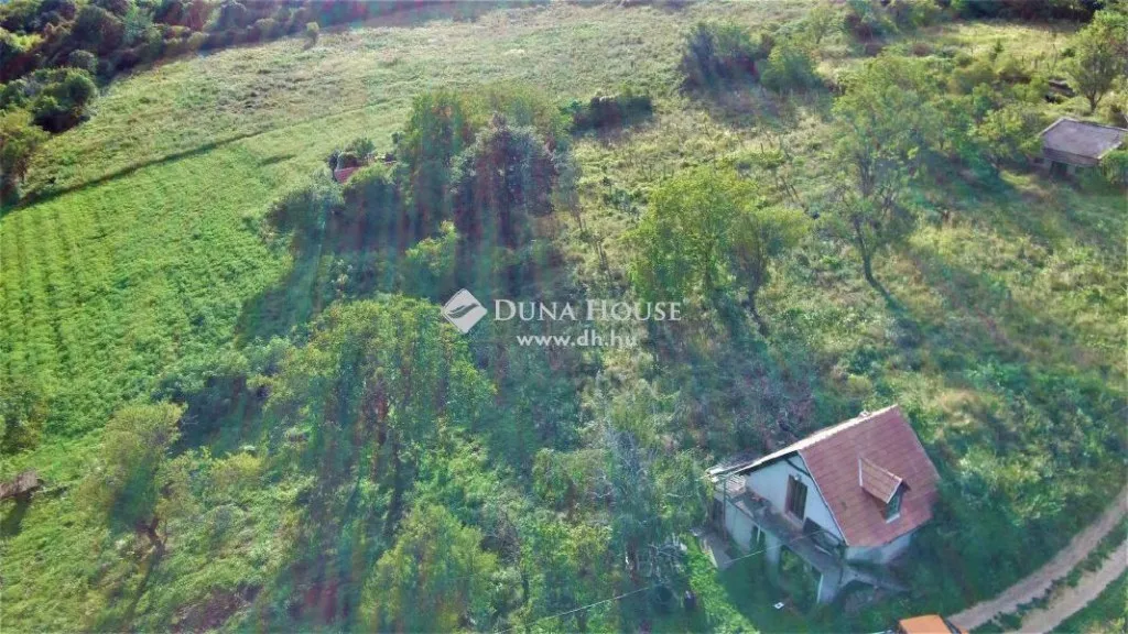 Vista aerea - Panoramic Cellar with Vineyard in Köveskál