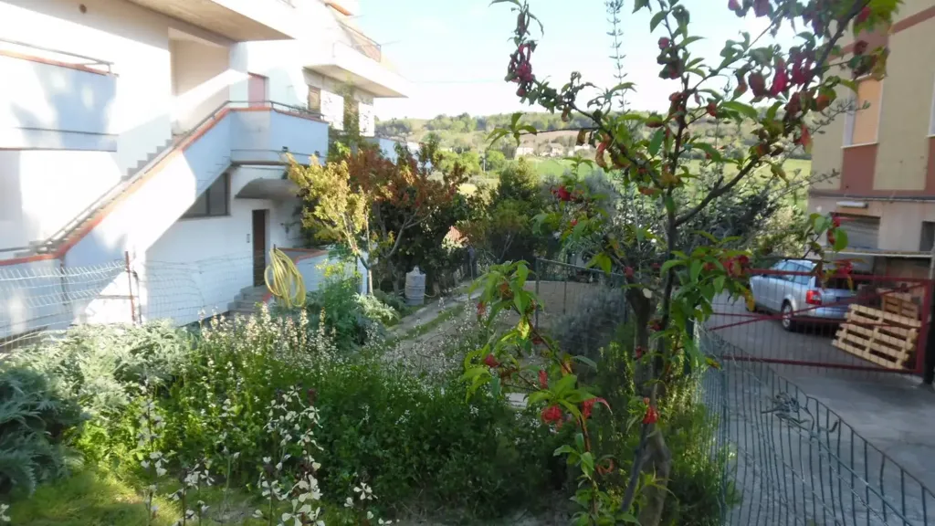 garden