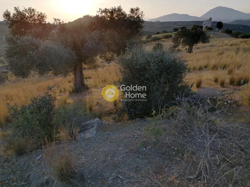 Aed - Agricultural Plot with Panoramic Views in Phaistos