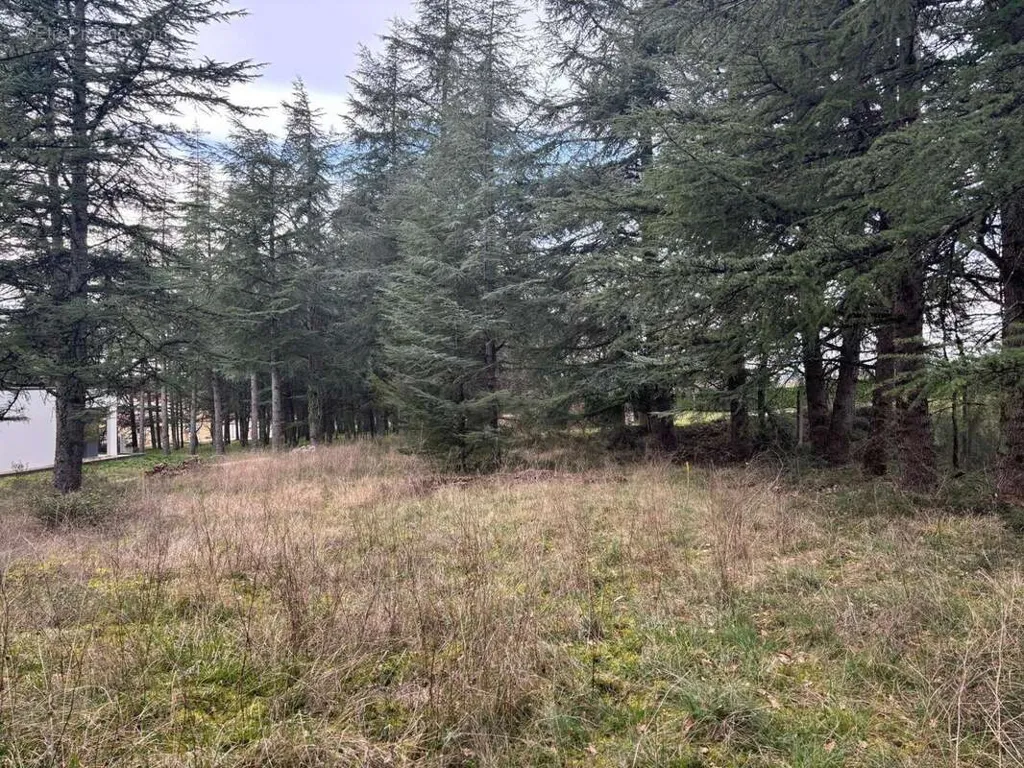 Giardino - Buildable Plot with South-West View in Cahors