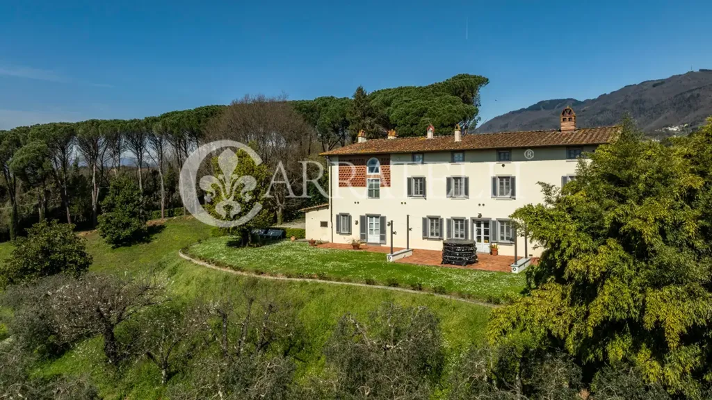 Õhuvaade - Historic Villa with Olive Grove in Capannori