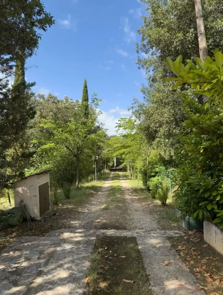 Välivaade - Chalet with Private Forest in Sant Aniol de Finestres