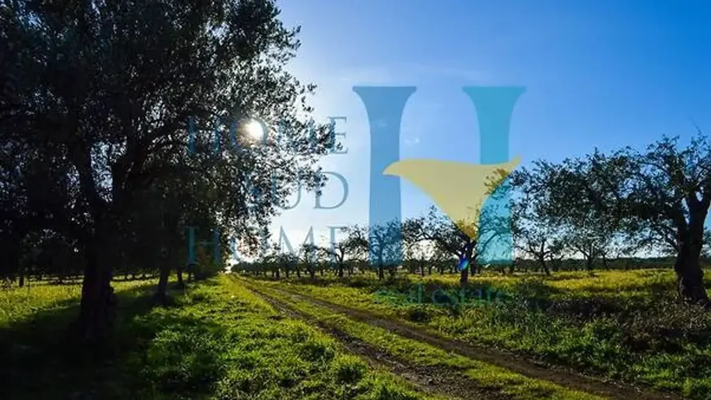 Garden - Villa with Olive Grove in Noto