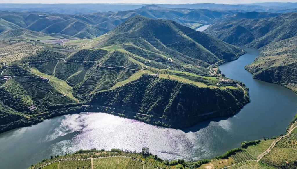 Vineyard with Riverfront in Douro Superior