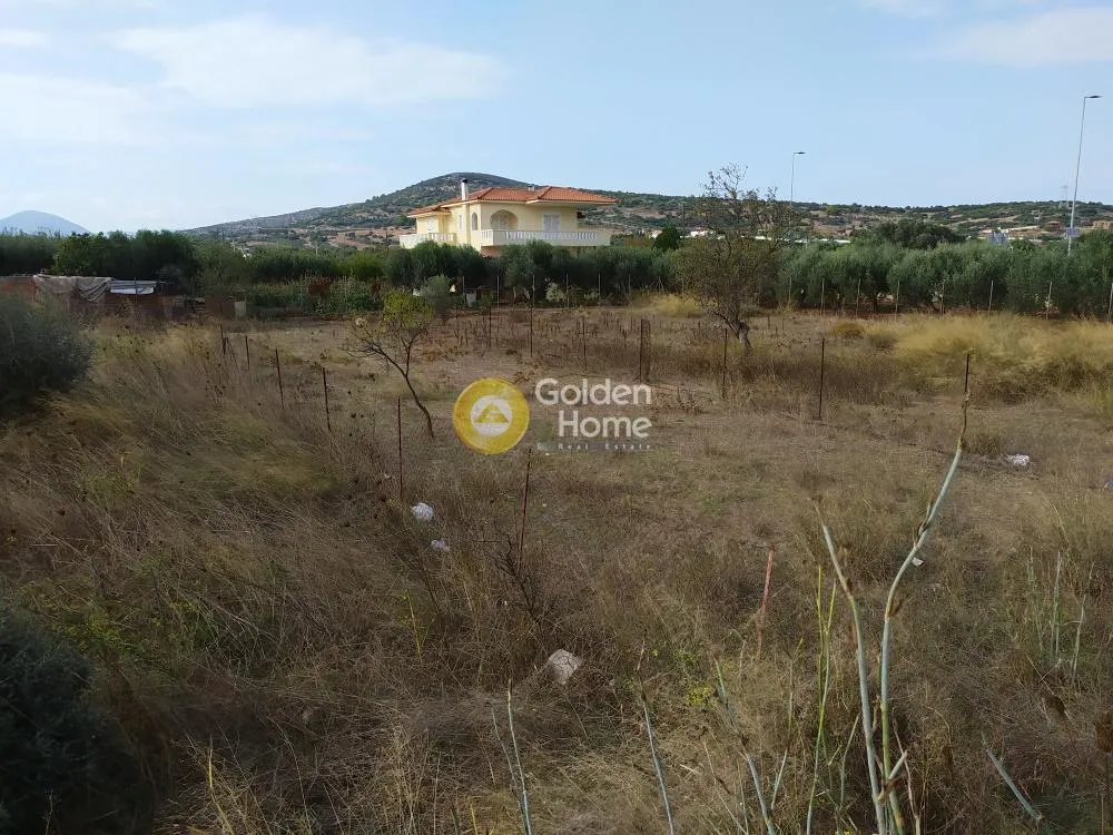 Aed - Plot with Unrestricted View in Kalivia Centre