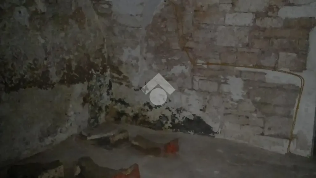 cellar