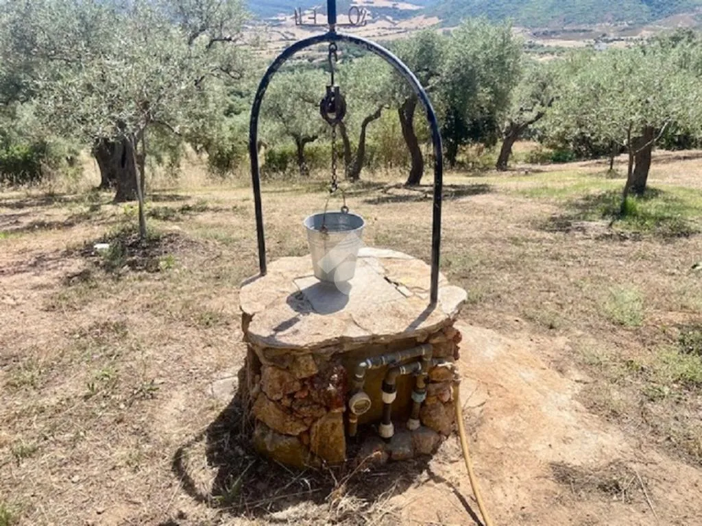 Giardino - Rustico with Olive Grove in Alghero