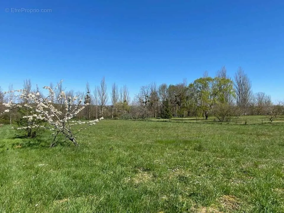 Aed - Buildable Plot with Garden in Saint-Cyr-l'École
