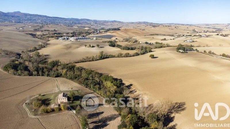 Vista aerea - Traditional Rustico with Olive Trees in Appignano