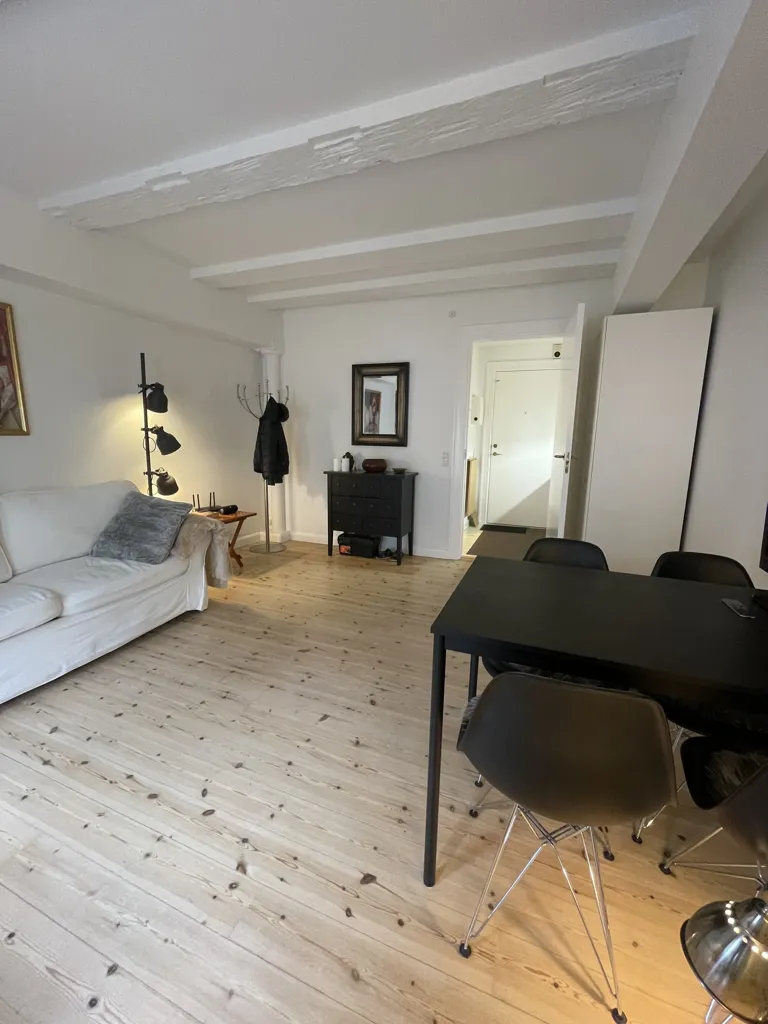 Séjour - Furnished Studio with Garden in Vesterbro