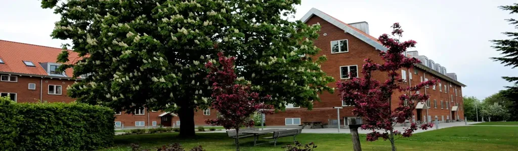 Jardin - Three-Bedroom Apartment in Vejle