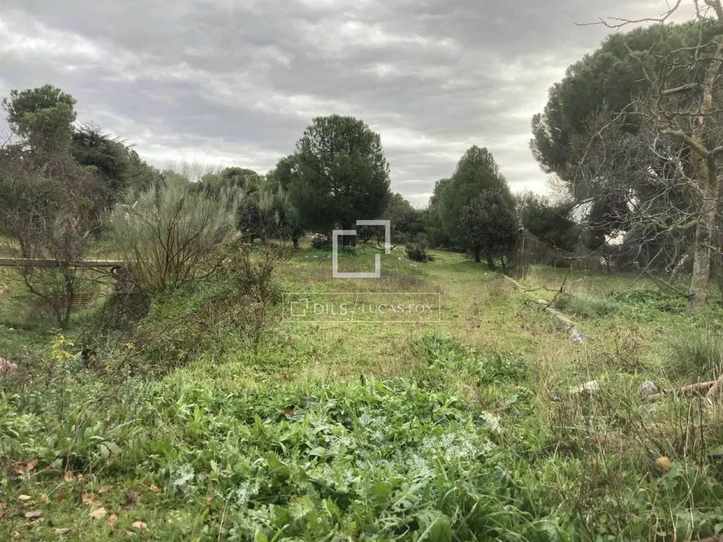 Jardin - Plot with Garden in Majadahonda