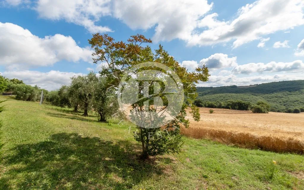 Jardin - Luxury Farmhouse with Pools in Radicondoli