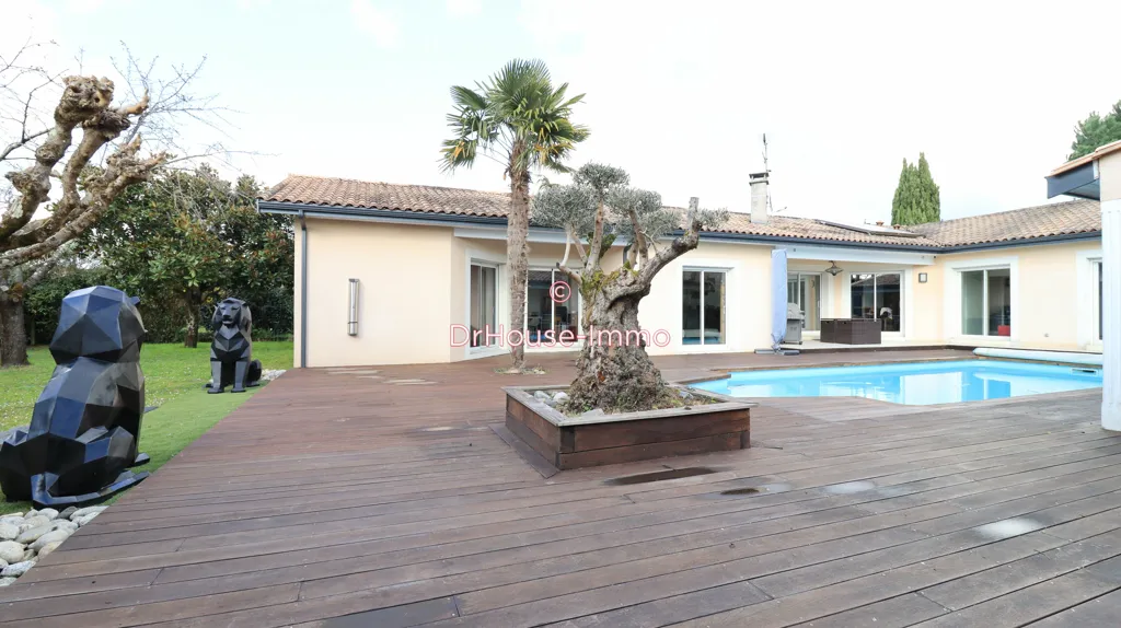 Bassein - Single-Storey Villa with Pool in Libourne